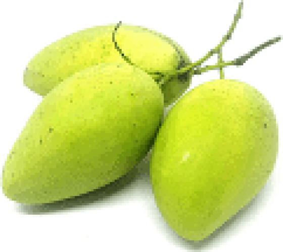 XOÀI CÁT CHU